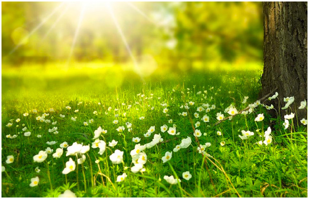 鉄・非鉄金属スクラップ売買・リサイクル事業